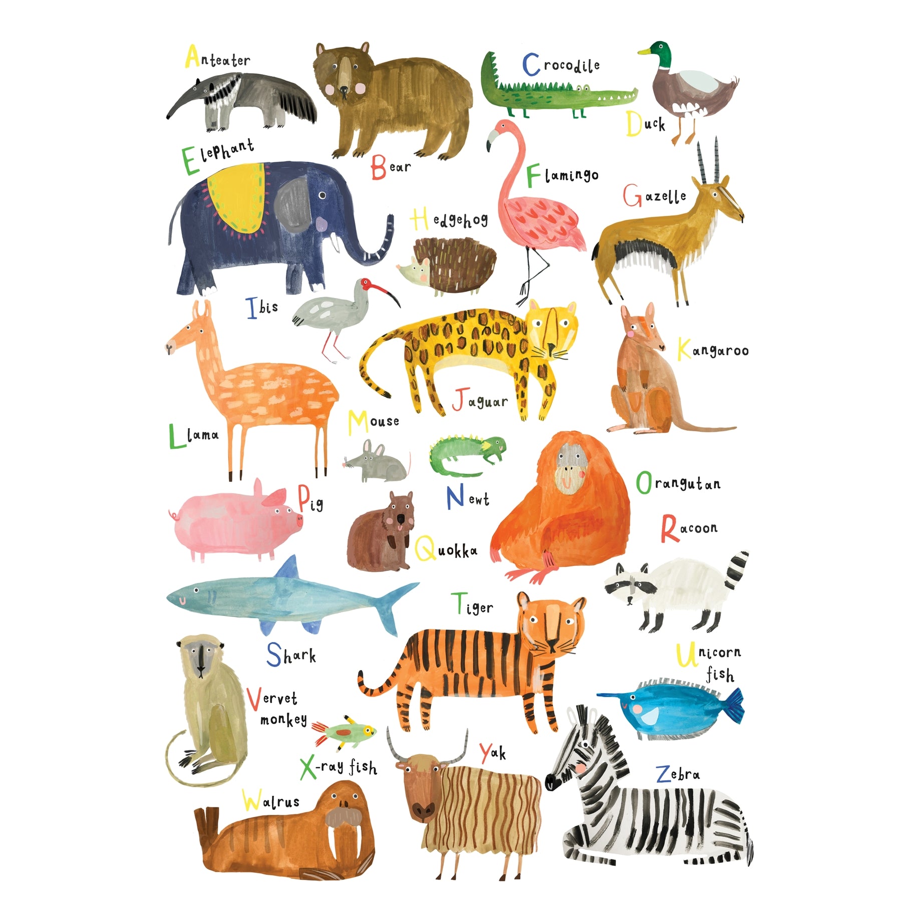 Animal ABC A3 Print image 1