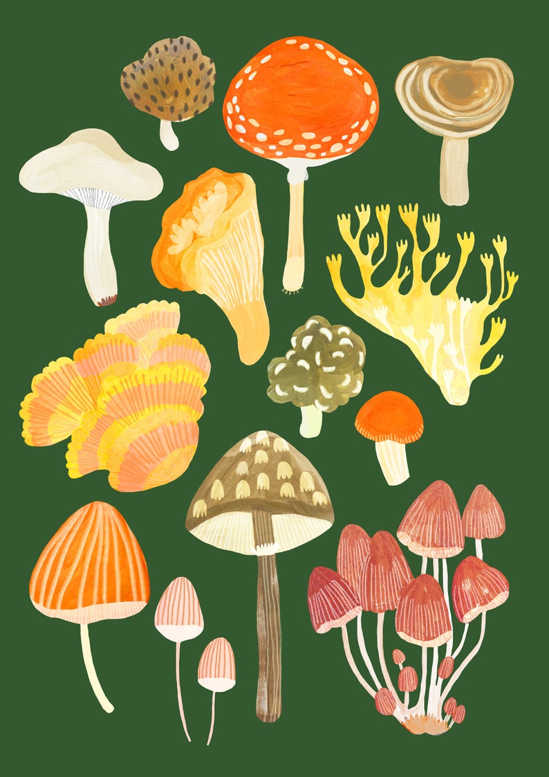 Mushroom A4 Print image 1