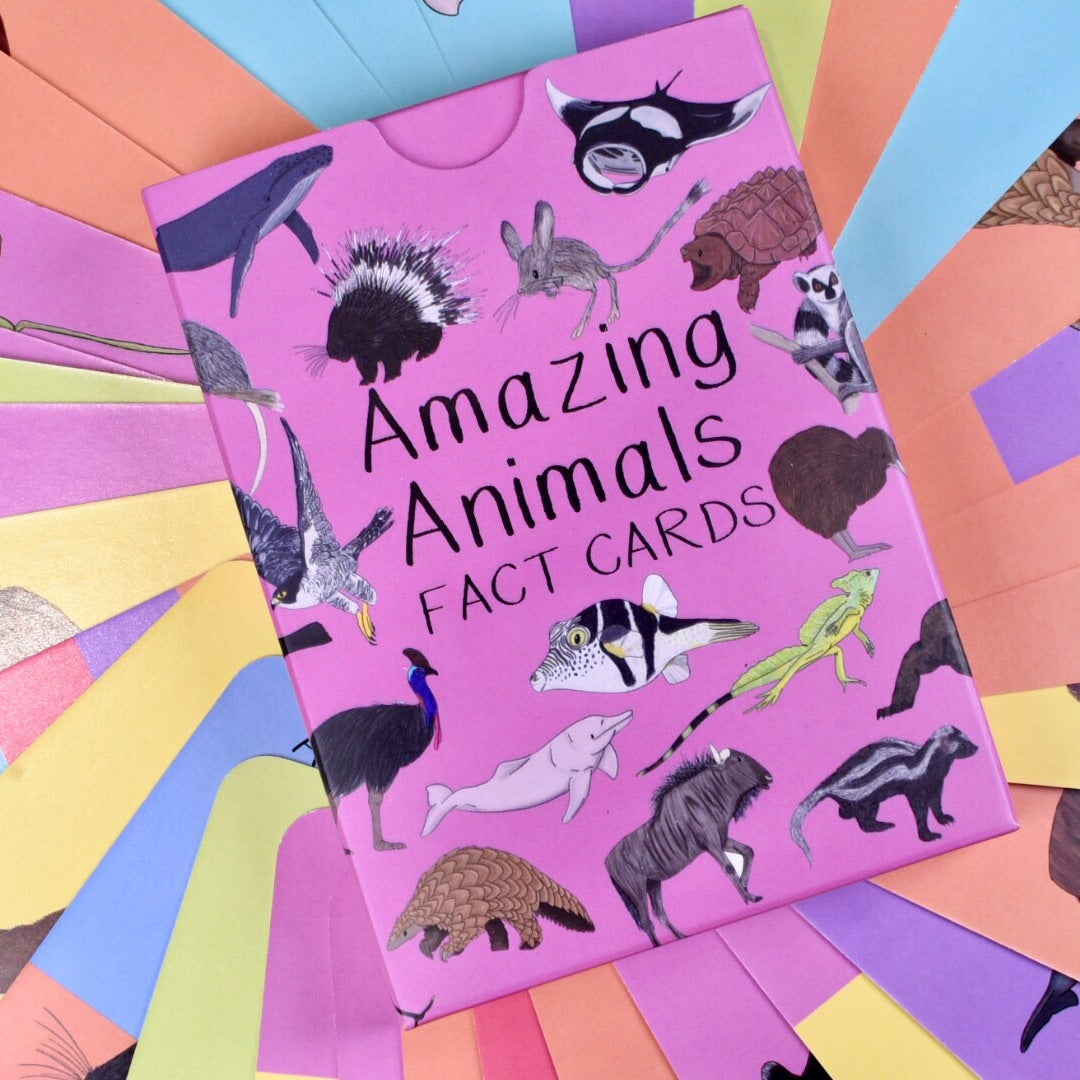 Amazing Animals Fact Cards Set Two image 0