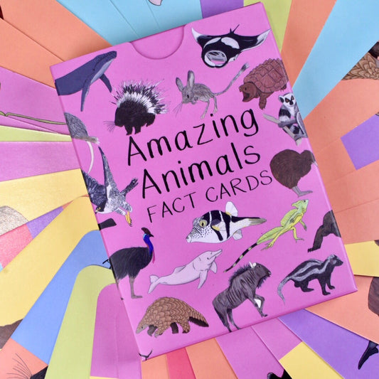 Amazing Animals Fact Cards Set Two image 0